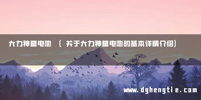 大力神蓄电池 (关于大力神蓄电池的基本详情介绍)